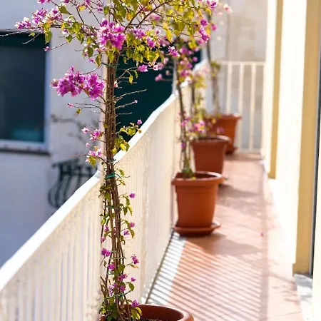 Cocor Villa