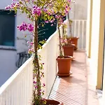 Cocor Villa